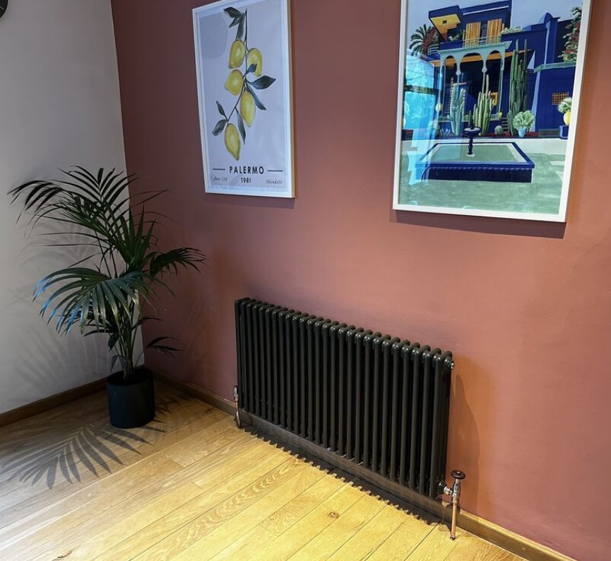 Column radiator installed in lounge